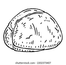 Kola nuts without shell. Vector engraving black vintage illustration. Isolated on white background.