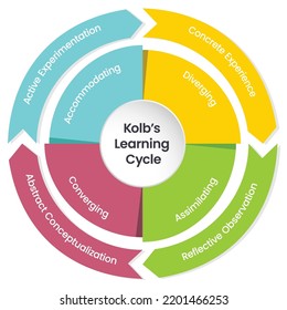 Kolb's Learning Cycle Infographic Vector Illustration