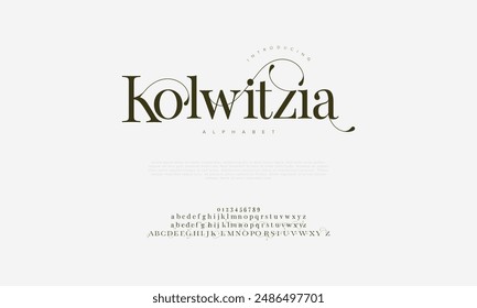 Kolwitzia premium luxury elegant alphabet letters and numbers. Vintage wedding typography classic serif font decorative vintage retro. creative vector illustration