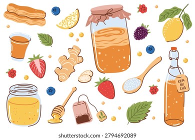Kombucha Drink Set, Healthy Fermented Drink with Ginger, Lemon, Honey and Berries, Natural Organic Food, Hand Drawn Vector Illustrations