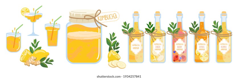 Kombucha drink set. Homemade fermented tea in a jar, bottles and glasses with different flavored. Healthy natural probiotic drink with ginger, berry, citrus, original and alcoholic variations. 