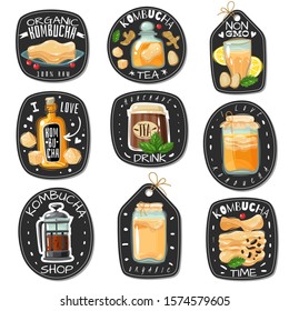 Kombucha emblems set. Fermented probiotic tea labels. Ingredients for drink. Recruitment advertising phrases. Vector illustration