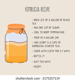 Kombucha Fermented Probiotic Homemade Drink Recipe Card. Tea Mushroom Brewing Method. Healthy Tea Fungus Drink Guide With Ingredients. Flat Style Hand Drawn Vector Illustration.