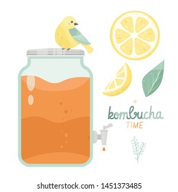 Kombucha fermented probiotic homemade tea vector illustration. mushroom, glass jar with kombucha tea. Super food, healthy cocktail. Isolated on white background flat style icon.