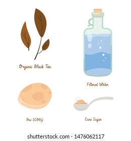 Kombucha fermented probiotic homemade tea vector illustration. mushroom, glass jar with kombucha tea. Super food, healthy cocktail. Isolated on white background flat style icon.