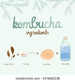 Kombucha fermented probiotic homemade tea vector illustration. mushroom, glass jar with kombucha tea. Super food, healthy cocktail. Isolated on white background flat style icon.