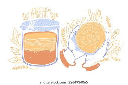 Kombucha fermented probiotic homemade tea. Scoby in human hands. Mushroom, glass jar with fungus drink. Flat cartoon style. Hand-drawn vector sketch.