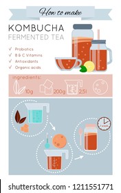 Kombucha fermented probiotic tea recipe vector infographic. How to make wonder drink Kombucha tea. Kombucha tea preparation icons. Vector isolated illustration flat style. Mason jar, mug, cup, scoby.