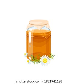 Kombucha fermentierter Tee mit Kamille in Glaskeramik. Vektorgrafik, flach, Cartoon Symbol einzeln auf weißem Hintergrund.
