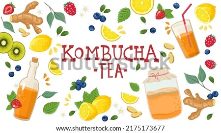 Kombucha fermented tea in glass jar and bottle with lemon and ginger. Vector banner with homemade tea, fruits, berries and ginger