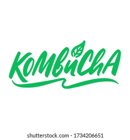 Kombucha hand written vector logo. Kombucha healthy fermented probiotic tea