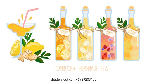 Kombucha homemade fermented raw tea in glass bottles set. Healthy natural probiotic drink with ginger, berry, citrus, original and alcoholic variations. Vector illustration elements collections