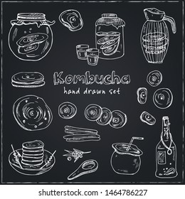 Kombucha homemade tea collection. Vector hand drawn illustration. Isolated objects