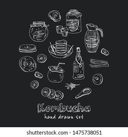
Kombucha homemade tea collection. Vector hand drawn illustration. Isolated objects