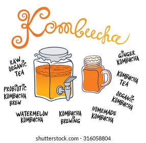 Kombucha (Hongo) beverage system - Natural homemade healthy drink for health - hand drawing vector illustration