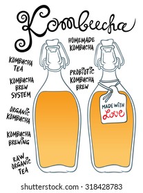 Kombucha or Hongo in glass bottles - Natural homemade healthy drink for health - hand drawing vector illustration