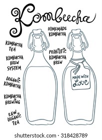Kombucha or Hongo in glass bottles - Natural homemade healthy drink for health - hand drawing vector illustration