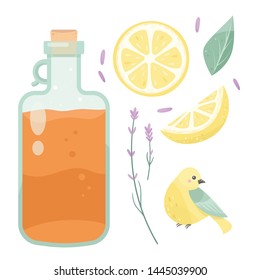 Kombucha with lemon, lavender fermented probiotic homemade tea vector illustration. mushroom, glass jar with kombucha tea. Super food, healthy cocktail. Isolated on white background flat style icon.