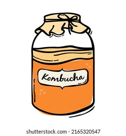 Kombucha Tea Hand Drawn Vector Bottle Illustration. Healthy Fermented Probiotic Tea Drink.