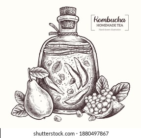 Kombucha tea. Homemade tea. Fruit tea. Healthy Superfood. Vector Hand Drawn Sketch Illustration. Pear and pomegranate. 