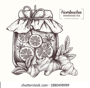 Kombucha tea. Homemade tea.  Healthy superfood. Vector Hand Drawn. Sketch Illustration. Ginger and lemon