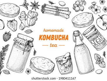 Kombucha tea and ingredients for kombucha sketch. Hand drawn vector illustration. Kombucha drink. Tea mushroom, tea fungus, or Manchurian mushroom.