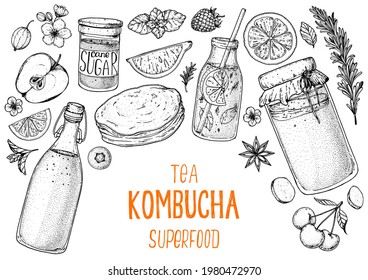 Kombucha tea and ingredients for kombucha sketch. Hand drawn vector illustration. Kombucha drink. Tea mushroom, tea fungus, or Manchurian mushroom.