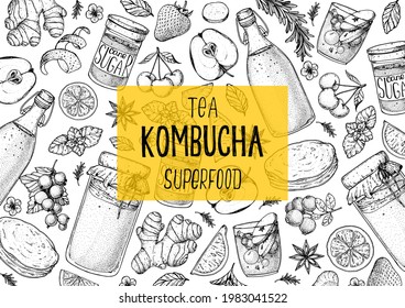 Kombucha tea and ingredients for kombucha sketch. Hand drawn vector illustration. Kombucha drink. Tea mushroom, tea fungus, or Manchurian mushroom.