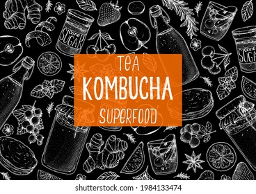 Kombucha tea and ingredients for kombucha sketch. Hand drawn vector illustration. Kombucha drink. Tea mushroom, tea fungus, or Manchurian mushroom.