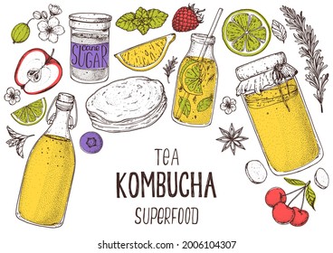 Kombucha tea and ingredients for kombucha sketch. Hand drawn illustration. Kombucha drink. Tea mushroom, tea fungus, or Manchurian mushroom.