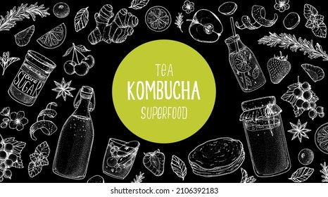 Kombucha tea and ingredients for kombucha sketch. Hand drawn vector illustration. Kombucha drink. Tea mushroom, tea fungus, or Manchurian mushroom.