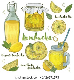 Kombucha. Tea mushroom (Hongo) in various glass containers is a natural home healthy drink for health. about biotic drink in a glass of lemon. Healthy lifestyle. Hand drawing vector illustration.