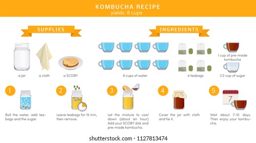 Té recepie kombucha, infografía vectorial