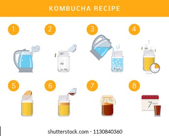 Kombucha tea recepie, vector infographic