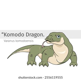 Komodo Dragon Cartoon illustration. wildlife animal isolated. Animal cartoon collection. Cartoon character isolated