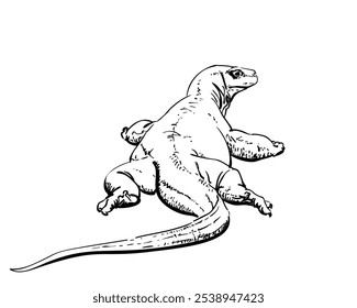 Komodo dragon hand drawn illustration isolated, Rear view, Vector sketch of apex predator and large reptile of the monitor lizard family