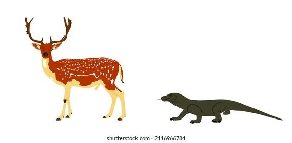 Komodo dragon hunting sika deer male vector illustration isolated. Huge antlers buck. Biggest lizard ambush attacks deer grazing grass. Reindeer prey to Komodo monitor. Varanus komodoensis. Food chain