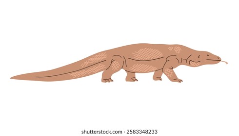 Komodo dragon. Large predatory reptile. Wildlife animal. Nature and fauna. Vector illustration isolated on white background