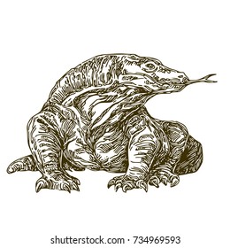 Komodo dragon. Sketch. Vector illustration.