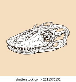 komodo dragon skull head vector illustration