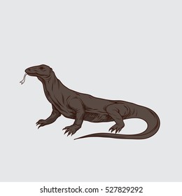 Komodo Dragon. Vector Illustration.