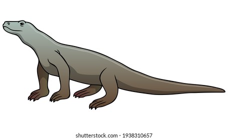 Komodo Dragon Vector Illustration Isolated On Stock Vector (royalty 