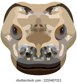 Komodo monitor lizard head. The portrait of a large lizard is depicted on a white background. Vector graphics.