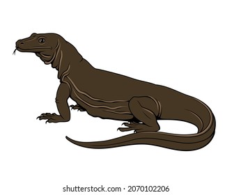 Komodo Waran (Dragon). Vector Clipart.