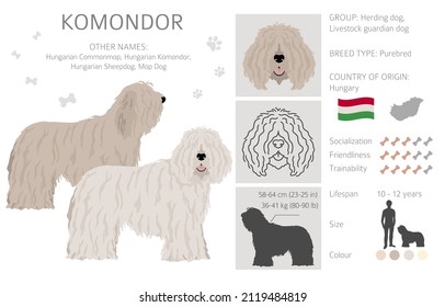 Komondor clipart. Different poses, coat colors set.  Vector illustration