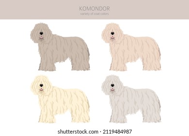 Komondor clipart. Different poses, coat colors set.  Vector illustration