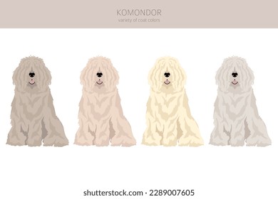 Komondor clipart. Different poses, coat colors set.  Vector illustration