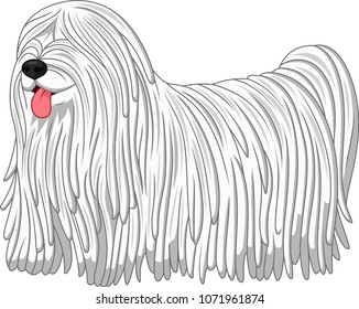 Komondor dog breed