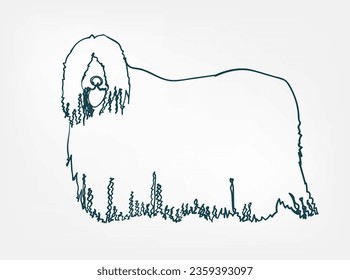 Komondor dog breed animal vector line art one line sketch outline