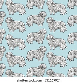 komondor dog pattern